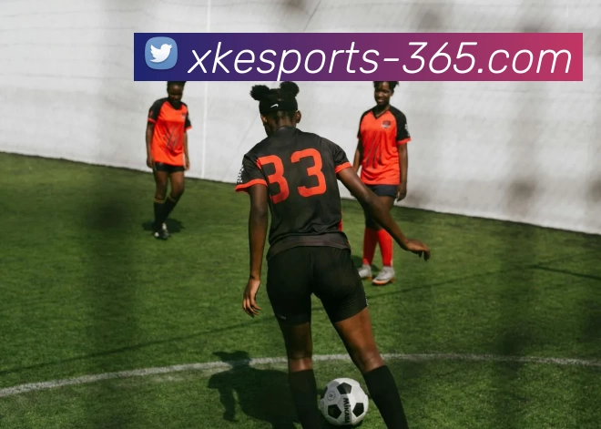 星空互娱电子竞技平台生态图